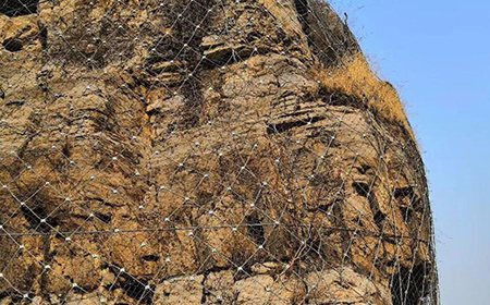 SNS主動(dòng)防護(hù)網(wǎng) SNS主動(dòng)防護(hù)網(wǎng)