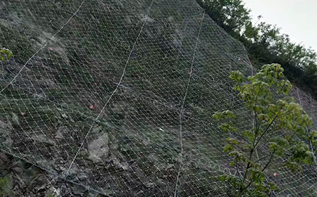 SNS主動(dòng)防護(hù)網(wǎng) SNS主動(dòng)防護(hù)網(wǎng)