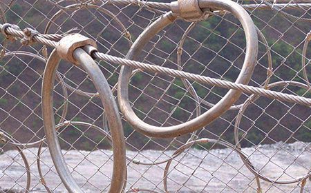 環(huán)形網(wǎng) 環(huán)形網(wǎng)