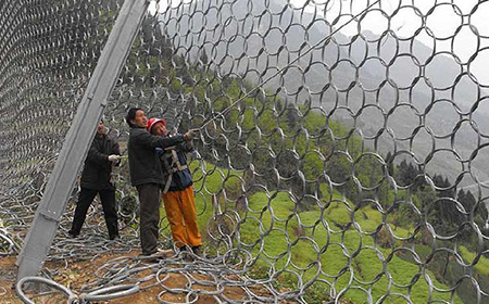 環(huán)形網(wǎng) 環(huán)形網(wǎng)