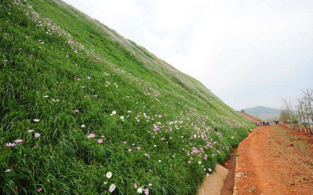 邊坡綠化施工 邊坡綠化施工