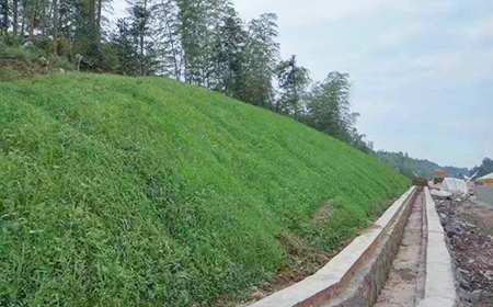邊坡綠化施工 邊坡綠化施工