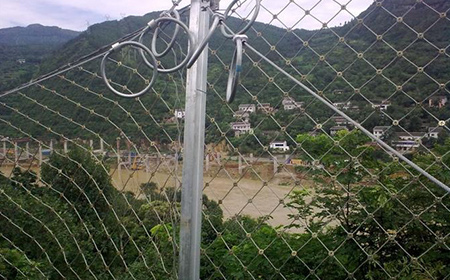 RX型被動防護(hù)網(wǎng) RX型被動防護(hù)網(wǎng)