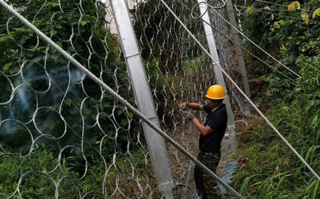 環(huán)形網(wǎng) 環(huán)形網(wǎng)