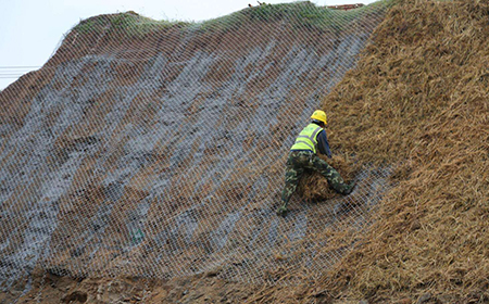邊坡綠化施工 邊坡綠化施工