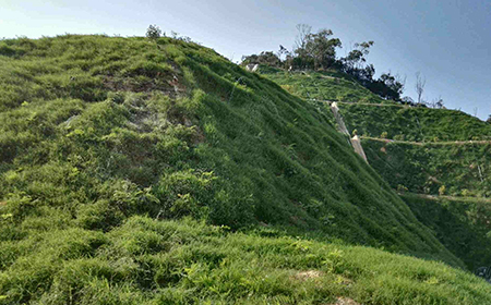 邊坡綠化施工 邊坡綠化施工
