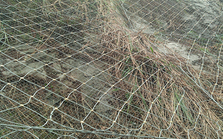 SNS主動(dòng)防護(hù)網(wǎng) SNS主動(dòng)防護(hù)網(wǎng)